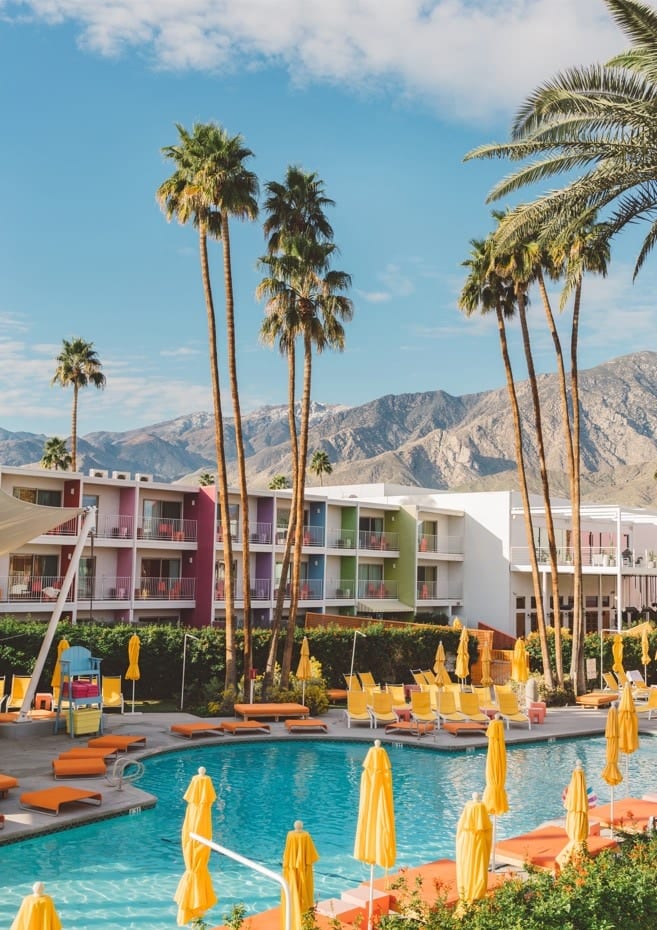 Palm Springs Saguaro  By Bethany Young