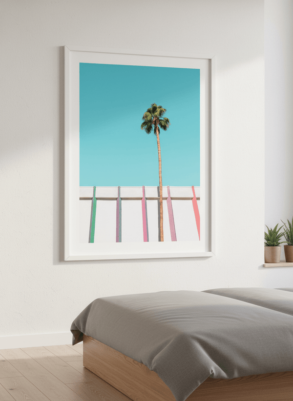 Palm Tree Rainbow By Tom Windeknecht