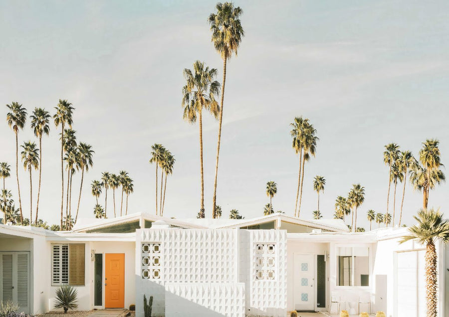 Palm Tree White House Landscape Photograph