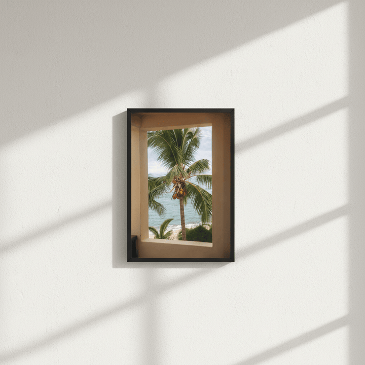 Palm Window by Colton Jones wall - art - picture - poster