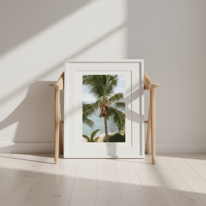 Palm Window by Colton Jones wall - art - picture - poster
