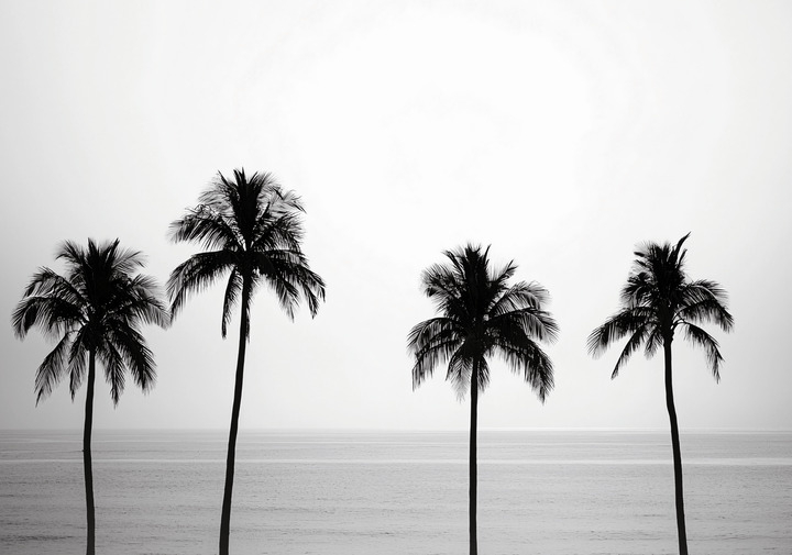 paradise coastal beach wall art black and white photograph frame