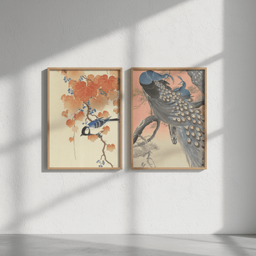 Peacock and Japanese Bird Woodblock Prints Duo by Ohara Koson wall - art - picture - poster