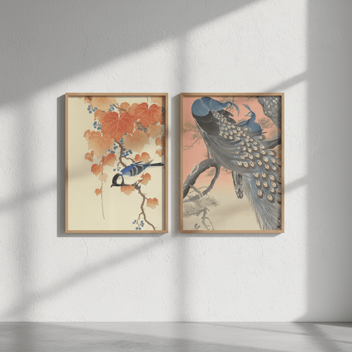 Peacock and Japanese Bird Woodblock Prints Duo by Ohara Koson wall - art - picture - poster