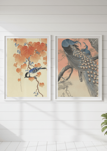 Peacock and Japanese Bird Woodblock Prints Duo by Ohara Koson wall - art - picture - poster