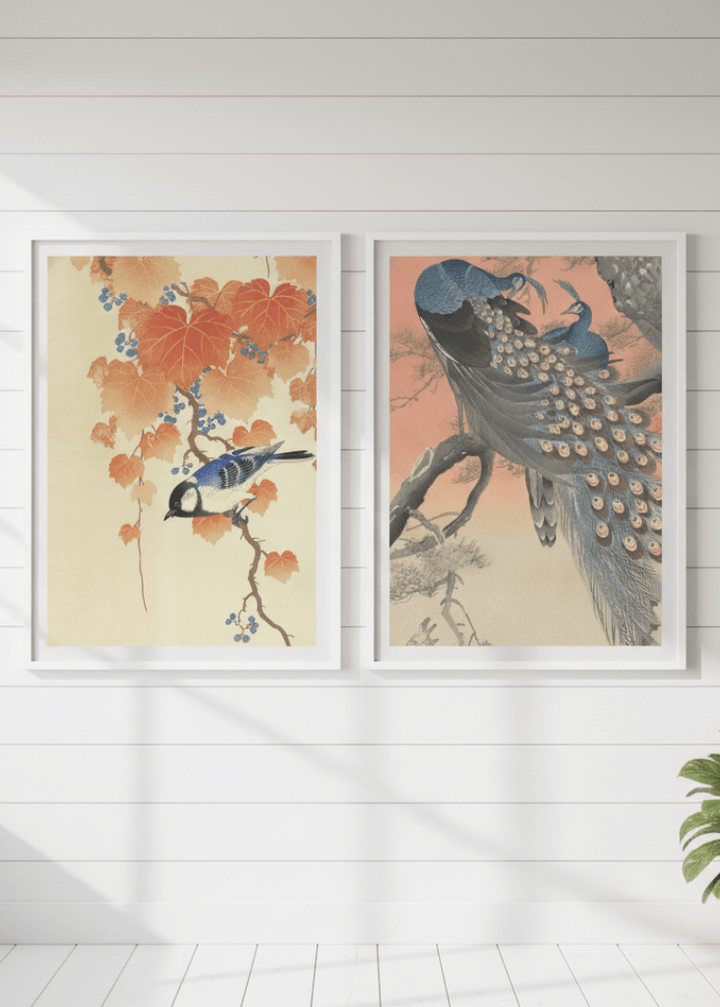 Peacock and Japanese Bird Woodblock Prints Duo by Ohara Koson wall - art - picture - poster