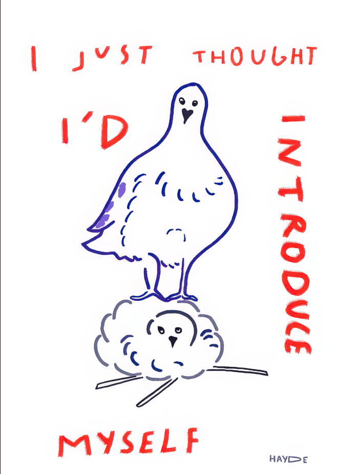 Pidgeon Introduce Illustration by Hayde Nizard,frame