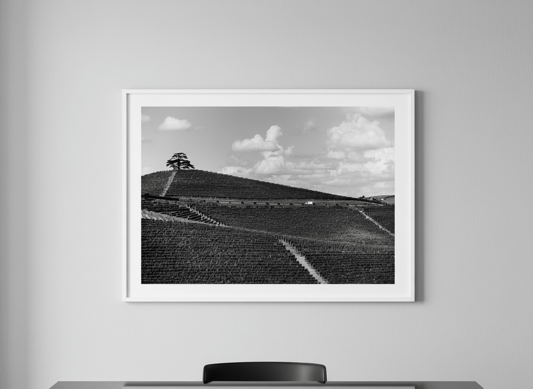 Contemporary wall art featured in a bright modern office workspace