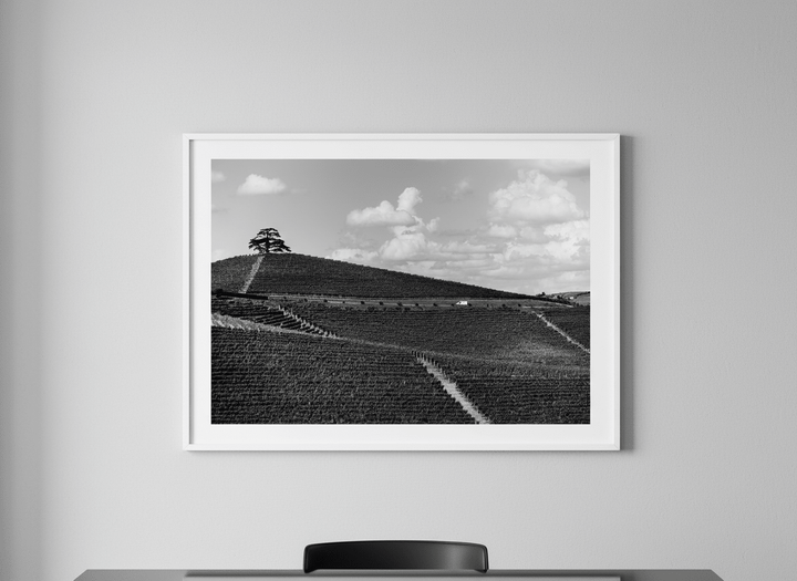 Contemporary wall art featured in a bright modern office workspace