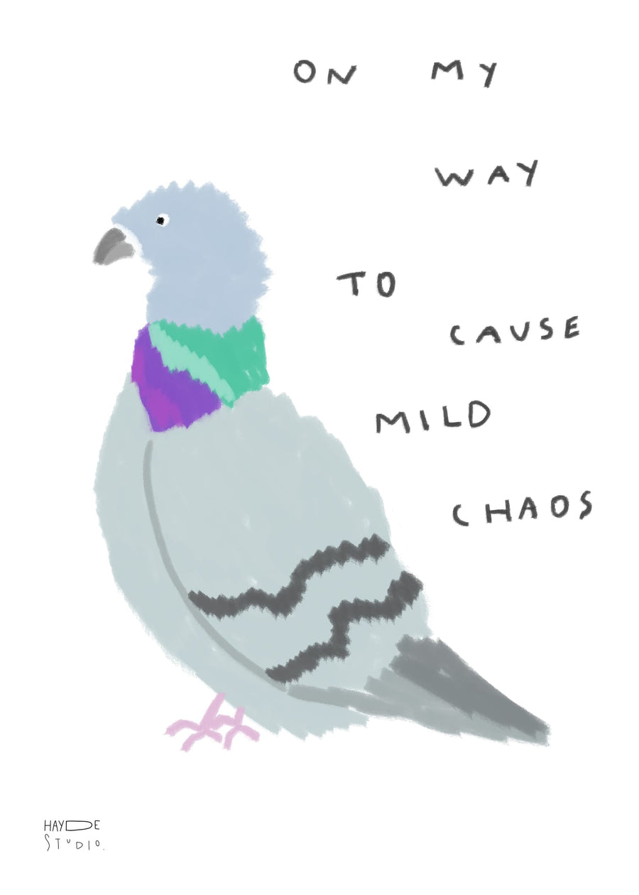 Pigeon With Intent By Hayde Nizrd