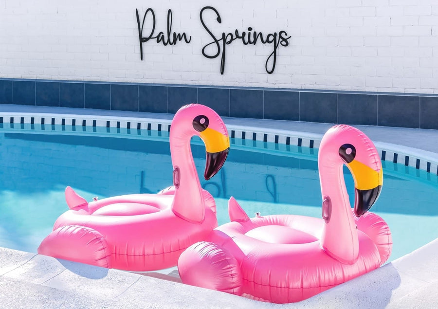 Pink Flamingo Swimming Pool Toys In Palm Springs, California By Tom Windeknecht