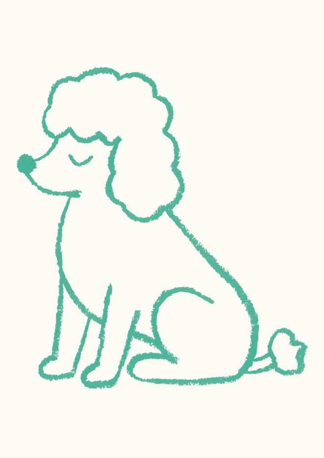 Poodle by Silvia Visscher