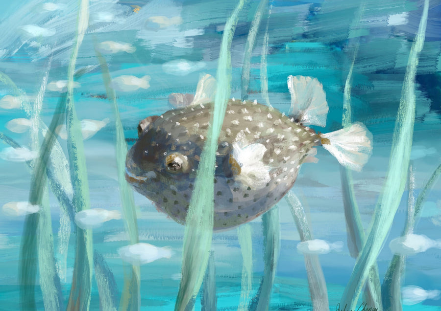 Puffy Fish By Julia Cheney