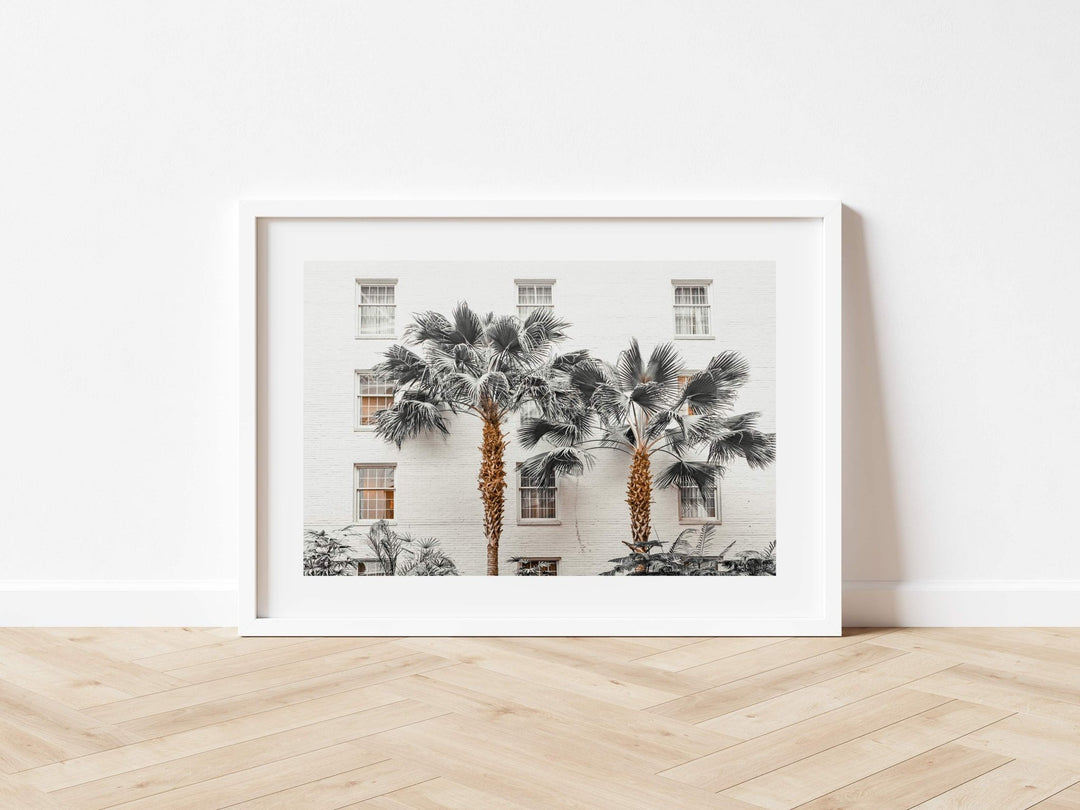 Resort de Palmas Photography wall - art - picture - poster