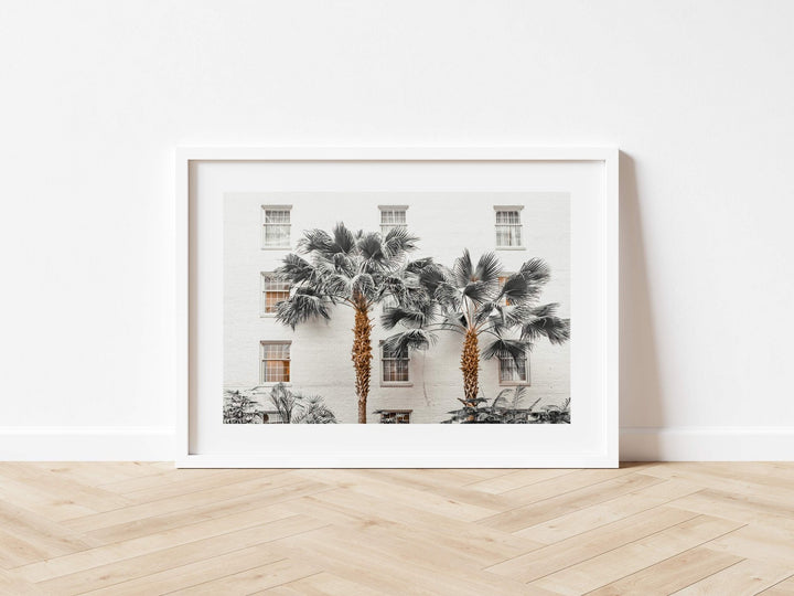 Resort de Palmas Photography wall - art - picture - poster