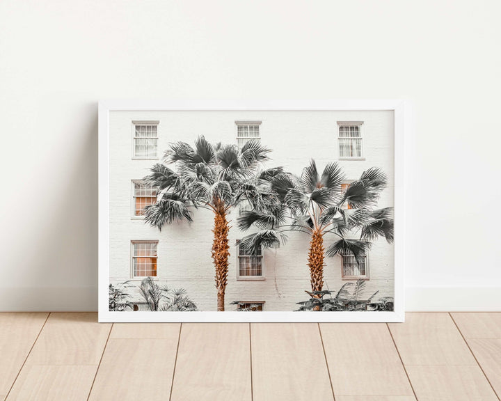 Resort de Palmas Photography wall - art - picture - poster