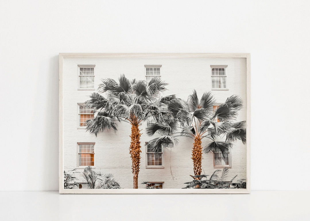 Resort de Palmas Photography wall - art - picture - poster