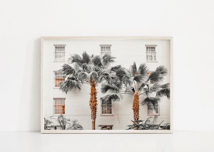 Resort de Palmas Photography wall - art - picture - poster