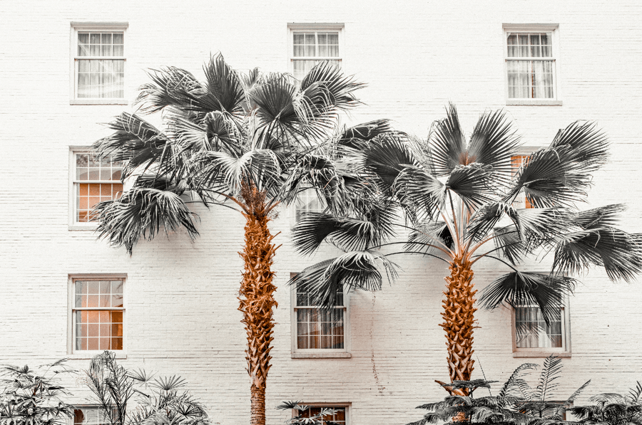 Resort de Palmas Photography