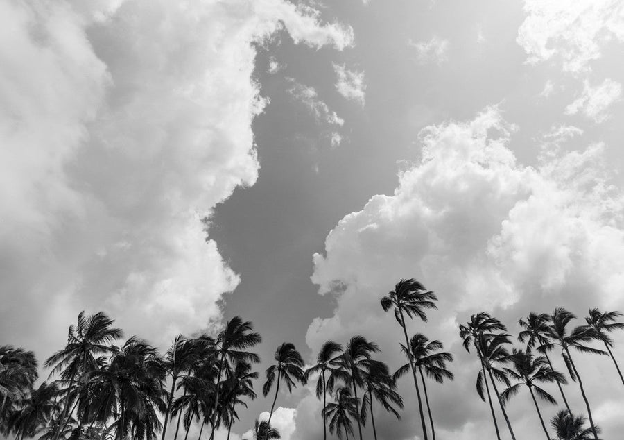Salt Air by Cordula Schaefer