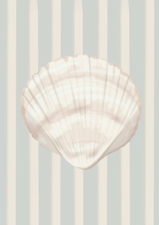 Sea Shell By Lisen Vennesland