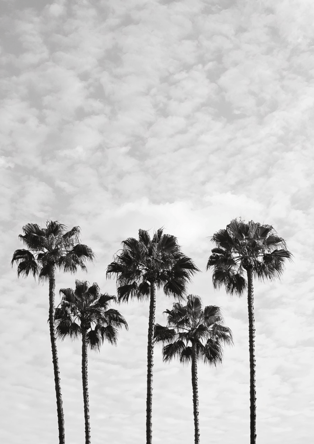 Serene Palm Trees Coastal Black and White Photograph Beach Wall Art Print frame