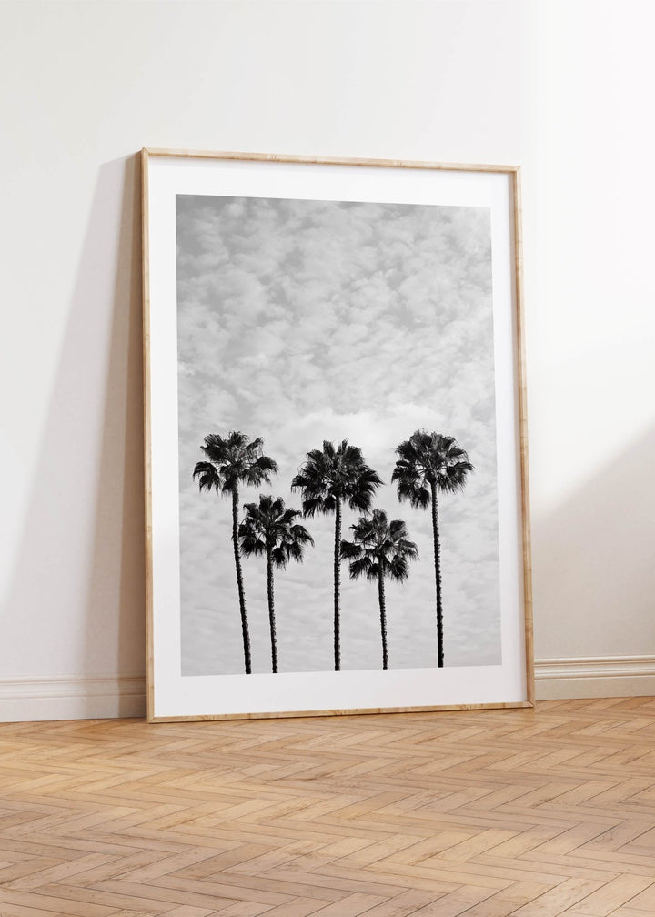 Serene Palm Trees Photograph by Julian Van Bausch wall - art - picture - poster