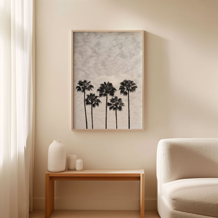 Serene Palm Trees Photograph by Julian Van Bausch wall - art - picture - poster