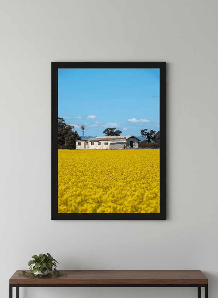 Contemporary wall art featured in a bright modern office workspace