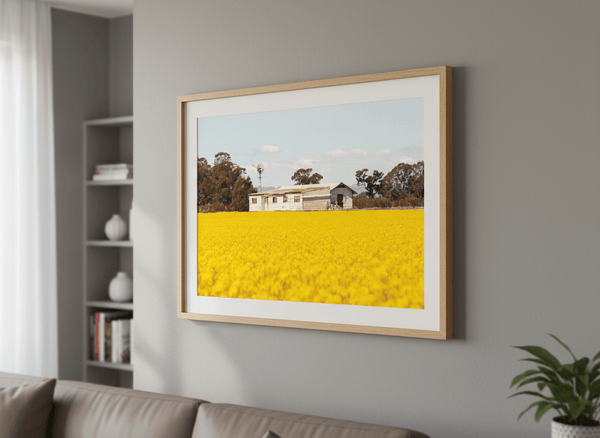 Shearing Shed In Canola Field Landscape By Steve Scott