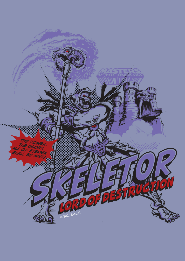 Skeletor Lord of Destruction Masters of the Universe Comic Print frame