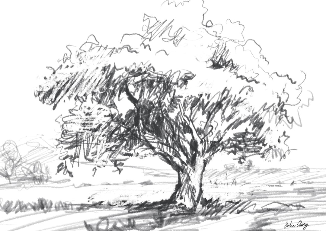 frame