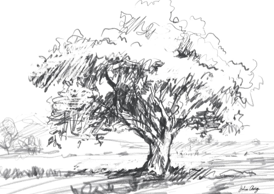 Sketch Of A Tree By Julia Cheney