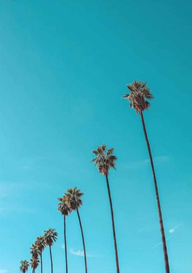 Skydusters By Tom Windeknecht