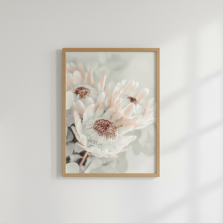 Soft Protea Bloom wall - art - picture - poster