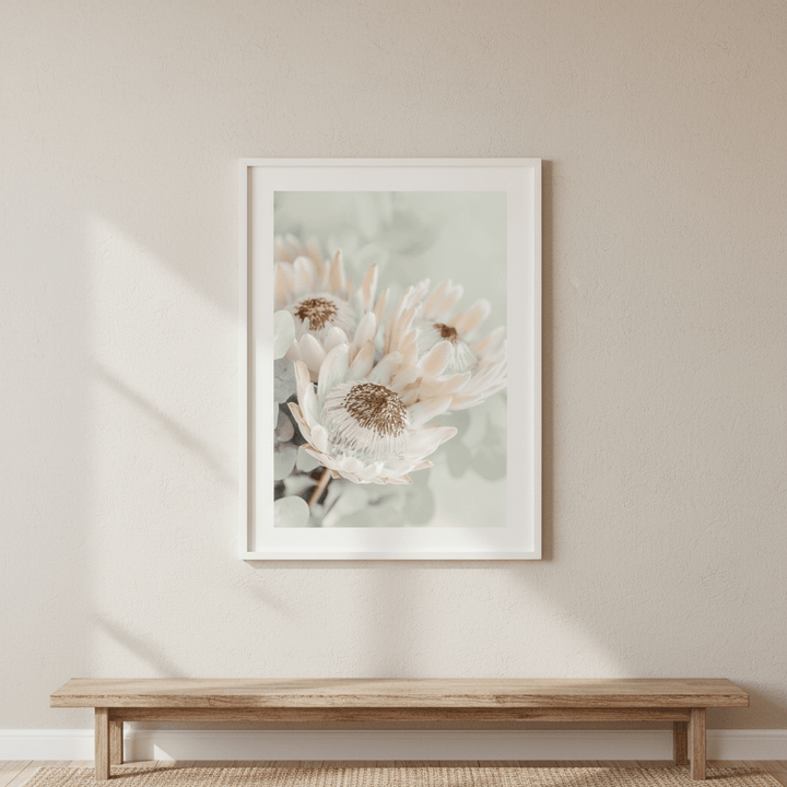 Soft Protea Bloom wall - art - picture - poster