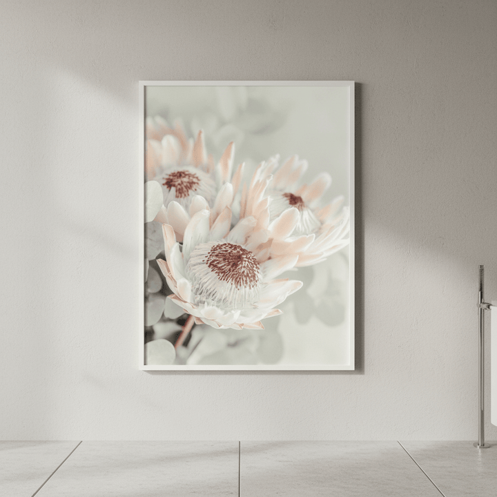 Soft Protea Bloom wall - art - picture - poster