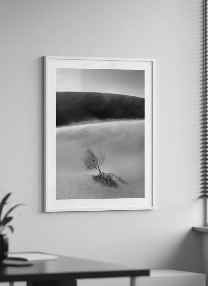 Contemporary wall art featured in a bright modern office workspace