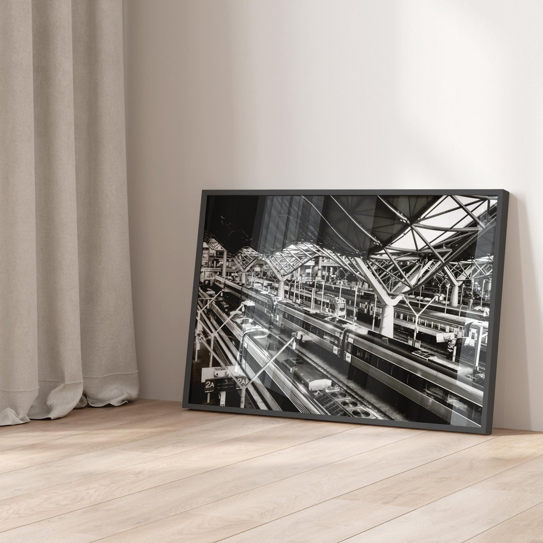 Southern Cross Photograph by Nicole Hunter wall - art - picture - poster