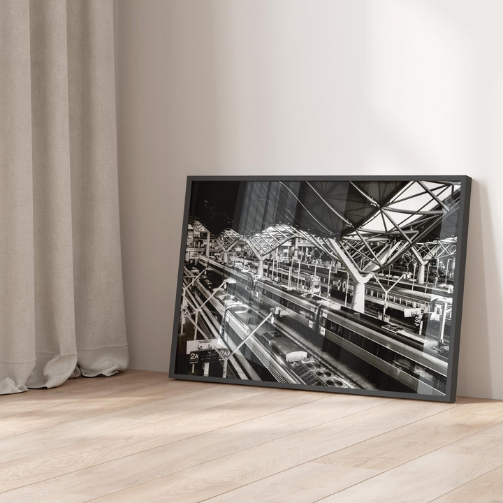 Southern Cross Photograph by Nicole Hunter wall - art - picture - poster