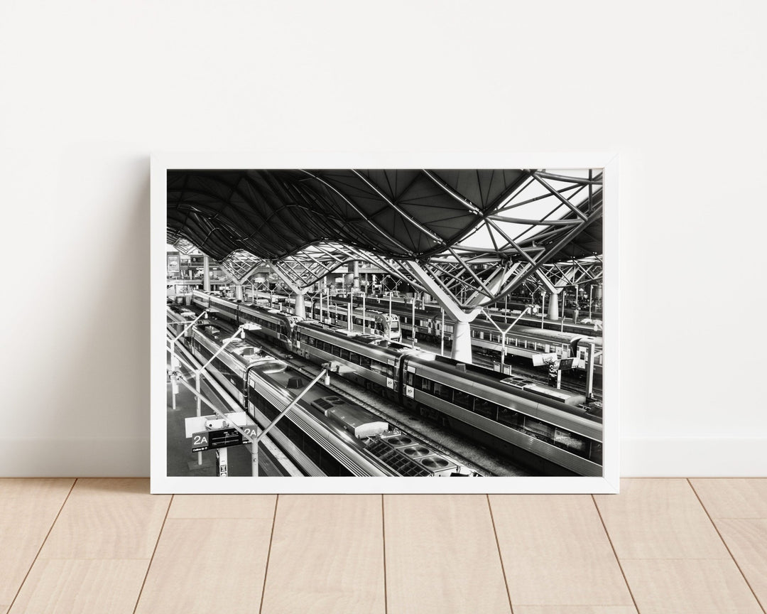 Southern Cross Photograph by Nicole Hunter wall - art - picture - poster