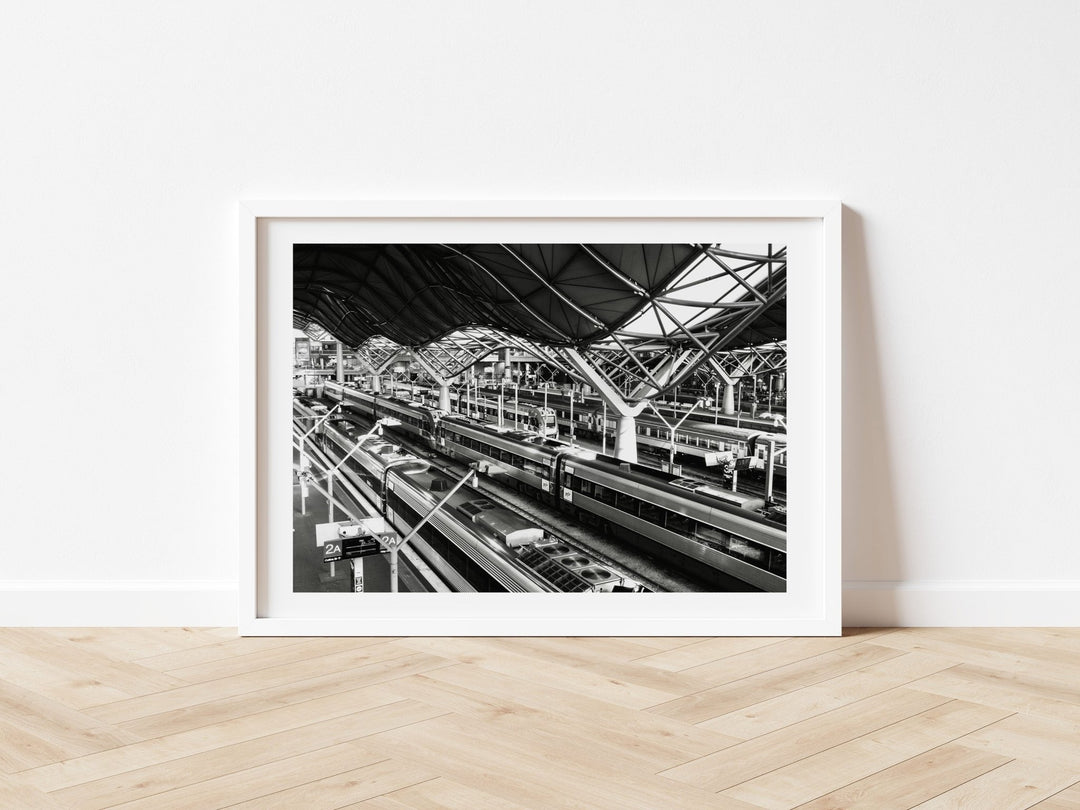 Southern Cross Photograph by Nicole Hunter wall - art - picture - poster