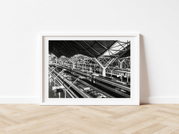 Southern Cross Photograph by Nicole Hunter wall - art - picture - poster