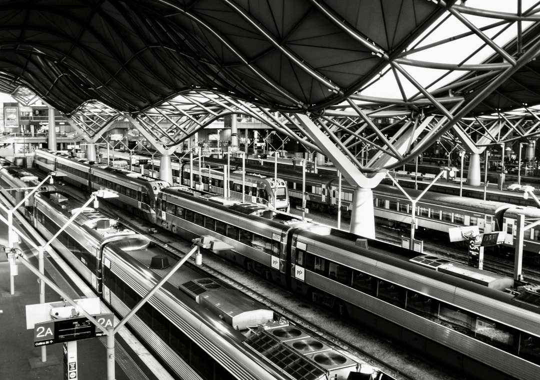 Southern Cross Photograph by Nicole Hunter frame