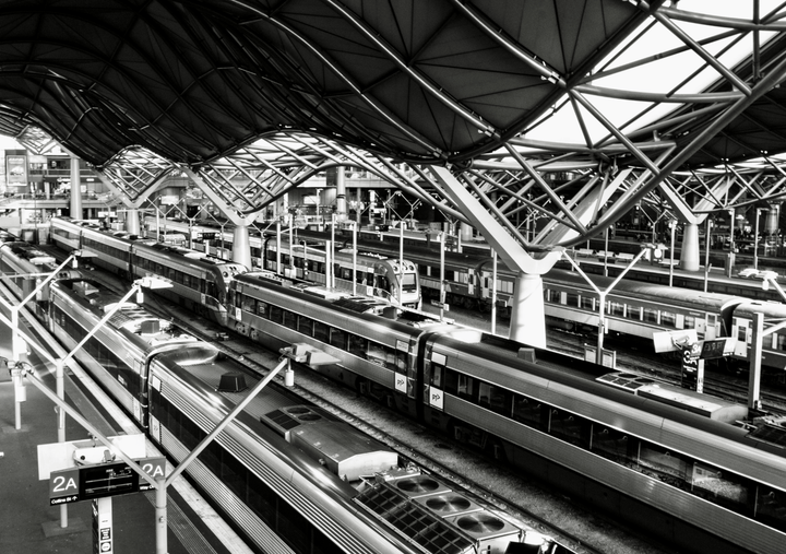 Southern Cross Photograph by Nicole Hunter frame