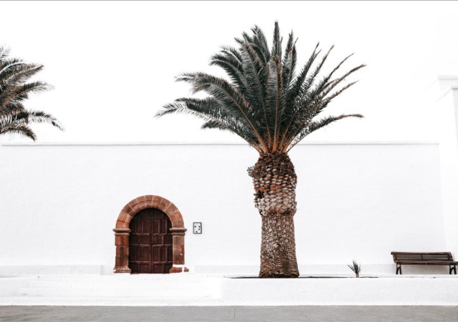 Spanish Church With Palm Trees Bedroom Wall Art