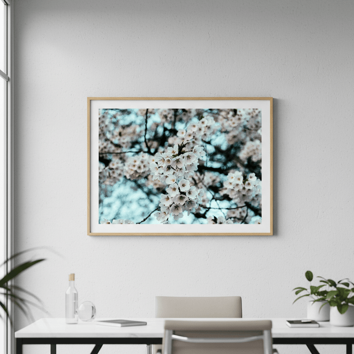 Spring's First by Aaron Borchardt wall - art - picture - poster