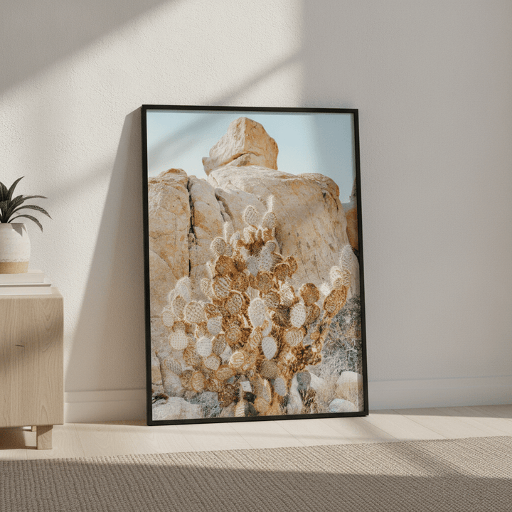 Summer Time Cactus Photograph wall-art-picture-poster