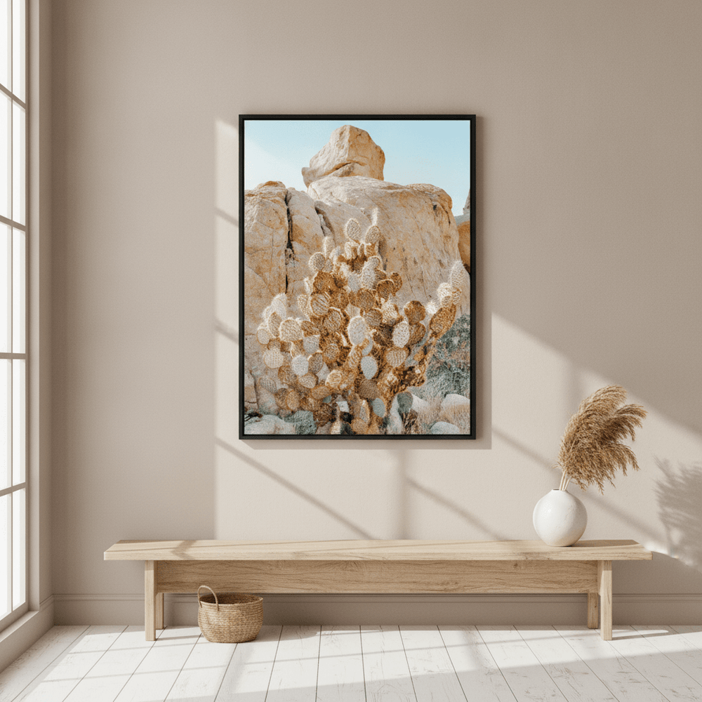 Summer Time Cactus Photograph wall-art-picture-poster