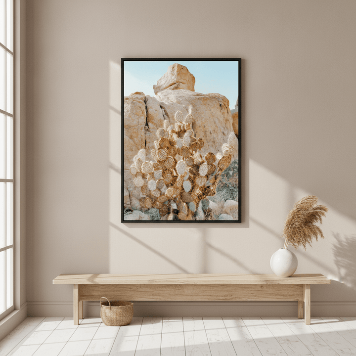 Summer Time Cactus Photograph wall-art-picture-poster